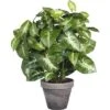Kunstplant Syngonium Hoogte 35 Cm, Ø 25 Cm, Groen