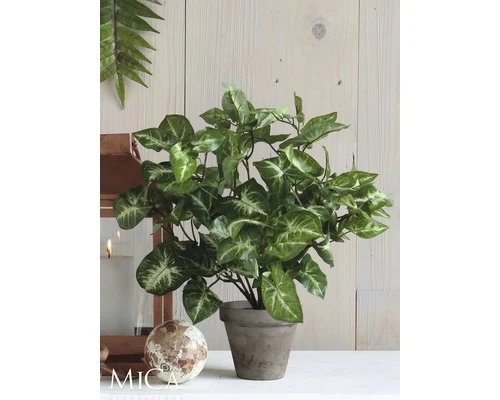 Kunstplant Syngonium Hoogte 35 Cm, Ø 25 Cm, Groen 2 Kunstplant Syngonium Hoogte 35 Cm, Ø 25 Cm, Groen - Afbeelding 2