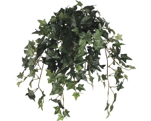 Kunstplant Klimop, Lengte 25 Cm, Groen 1 Kunstplant Klimop, Lengte 25 Cm, Groen