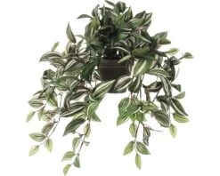 Kunstplant Tradescantia, Lengte 25 Cm, Groen