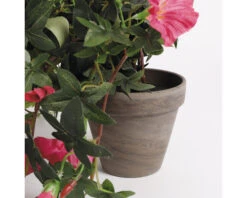 Kunstbloem Hang Petunia, Hoogte 25 Cm, Roze -hornbach winkel DV 8 8819683 04 4c NL 20220616091758