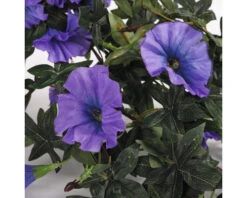 Kunstbloem Hang Petunia, Lengte 40 Cm, Ø 45 Cm, Violet -hornbach winkel DV 8 8819685 03 4c NL 20220616091758