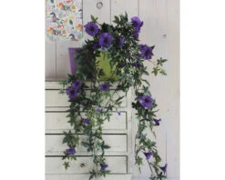 Kunstbloem Hang Petunia, Lengte 40 Cm, Ø 45 Cm, Violet -hornbach winkel DV 8 8819685 05 4c NL 20220616094650