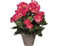 Kunstbloem Begonia, Hoogte 30 Cm, Ø 25 Cm, Roze