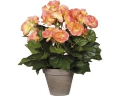 Kunstbloem Begonia, Hoogte 30 Cm, Ø 25 Cm, Zalm