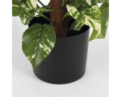 Kunstplant Scindapsus, Hoogte 110 Cm, Ø 45 Cm -hornbach winkel DV 8 8819691 04 4c NL 20220616094651