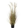 Kunstgras Vedergras Dogtail, Hoogte 120 Cm