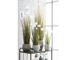 Kunstgras Vedergras Dogtail, Hoogte 120 Cm -hornbach winkel DV 8 8819693 05 4c NL 20220616094751