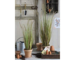 Kunstgras Vedergras Dogtail, Hoogte 120 Cm -hornbach winkel DV 8 8819693 07 4c NL 20220616094751