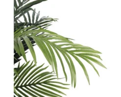 Kunstpalm Areca Palm Golden Cane, Hoogte 120 Cm, Ø 100, Groen 11 Kunstpalm Areca Palm Golden Cane, Hoogte 120 Cm, Ø 100, Groen -hornbach winkel DV 8 8819694 04 4c NL 20220617051651