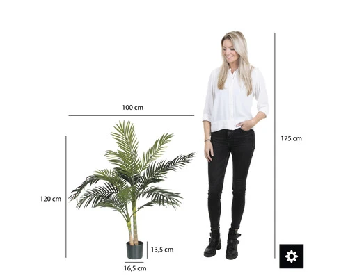 Kunstpalm Areca Palm Golden Cane, Hoogte 120 Cm, Ø 100, Groen 3 Kunstpalm Areca Palm Golden Cane, Hoogte 120 Cm, Ø 100, Groen - Afbeelding 3