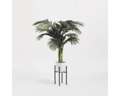 Kunstpalm Areca Palm Golden Cane, Hoogte 120 Cm, Ø 100, Groen 13 Kunstpalm Areca Palm Golden Cane, Hoogte 120 Cm, Ø 100, Groen -hornbach winkel DV 8 8819694 07 4c NL 20220616094751
