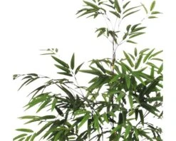 Kunstplant Bamboe In Pot, Groen Hoogte 120cm 11 Kunstplant Bamboe In Pot, Groen Hoogte 120cm -hornbach winkel DV 8 8819695 04 4c RO 20201216051751