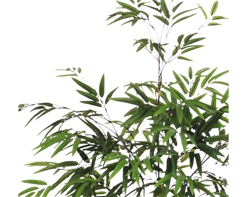 Kunstplant Bamboe In Pot, Groen Hoogte 120cm 4 Kunstplant Bamboe In Pot, Groen Hoogte 120cm - Afbeelding 4