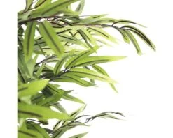 Kunstplant Bamboe In Pot, Groen Hoogte 120cm 10 Kunstplant Bamboe In Pot, Groen Hoogte 120cm -hornbach winkel DV 8 8819695 07 4c RO 20210114051655
