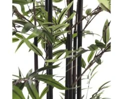 Kunstplant Bamboe In Pot, Groen Hoogte 120cm 12 Kunstplant Bamboe In Pot, Groen Hoogte 120cm -hornbach winkel DV 8 8819695 08 4c RO 20210114051655