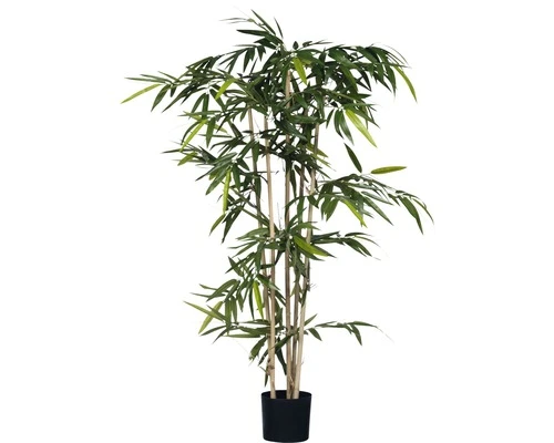 Kunstplant Bamboe In Pot, Hoogte 150, Ø 75 Cm, Groen 1 Kunstplant Bamboe In Pot, Hoogte 150, Ø 75 Cm, Groen