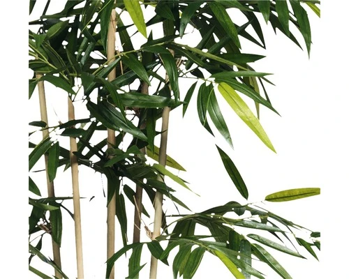 Kunstplant Bamboe In Pot, Hoogte 150, Ø 75 Cm, Groen 2 Kunstplant Bamboe In Pot, Hoogte 150, Ø 75 Cm, Groen - Afbeelding 2