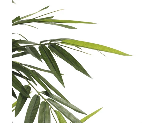 Kunstplant Bamboe In Pot, Hoogte 150, Ø 75 Cm, Groen 5 Kunstplant Bamboe In Pot, Hoogte 150, Ø 75 Cm, Groen - Afbeelding 5