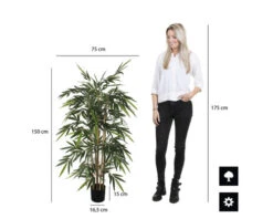 Kunstplant Bamboe In Pot, Hoogte 150, Ø 75 Cm, Groen 14 Kunstplant Bamboe In Pot, Hoogte 150, Ø 75 Cm, Groen -hornbach winkel DV 8 8819697 07 4c NL 20220616094751